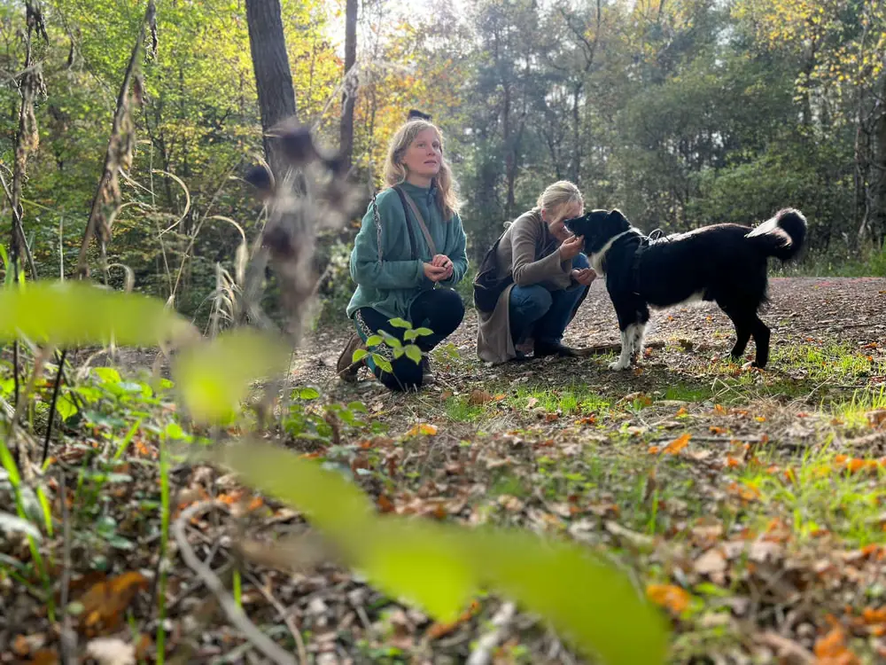 Zwei Windies mit Hund im herbstlichen Wald