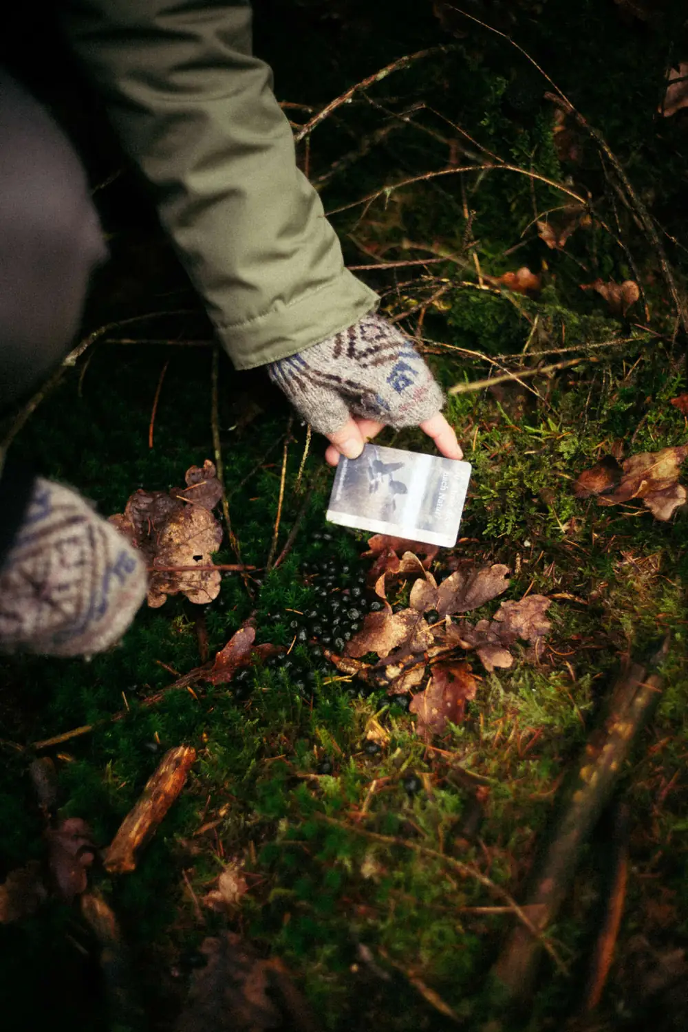 Hände mit Spurenkarte über Moos und Herbstlaub